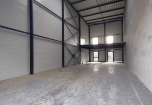The Complete Guide to Modern Warehouse Management: News, Regulations and Sustainability