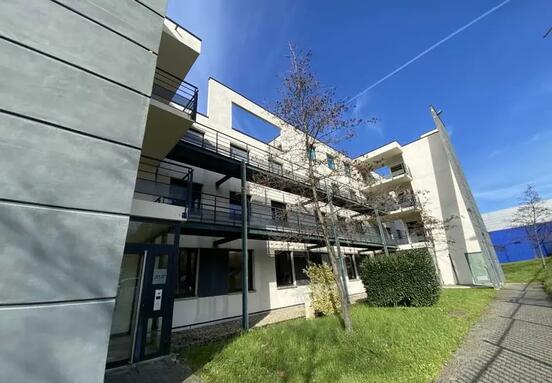 Avenue Marcel Merieux, Brignais